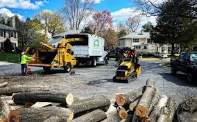 Best Leaf Removal  in Thomasville, NC